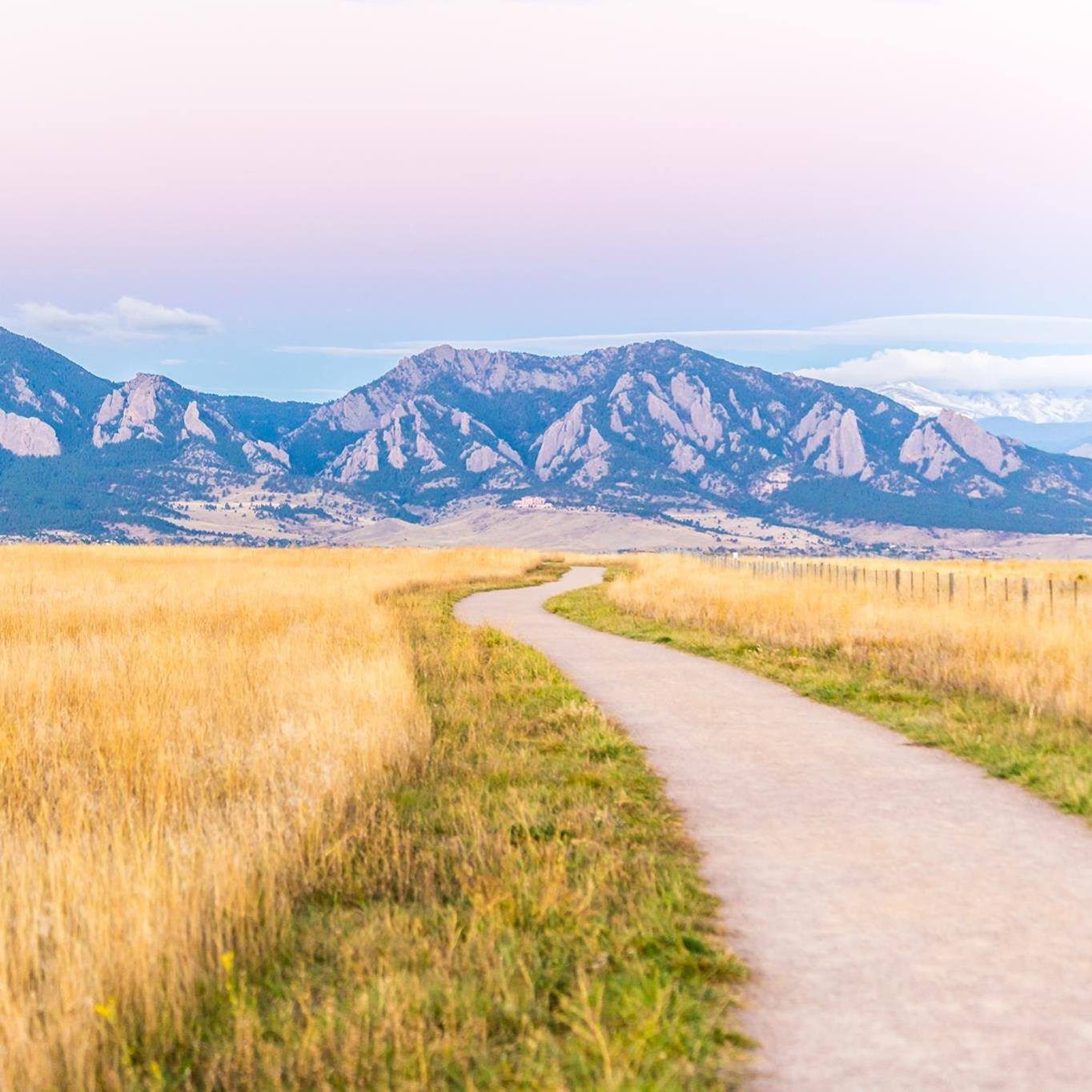 davidsonmesa-louisvll