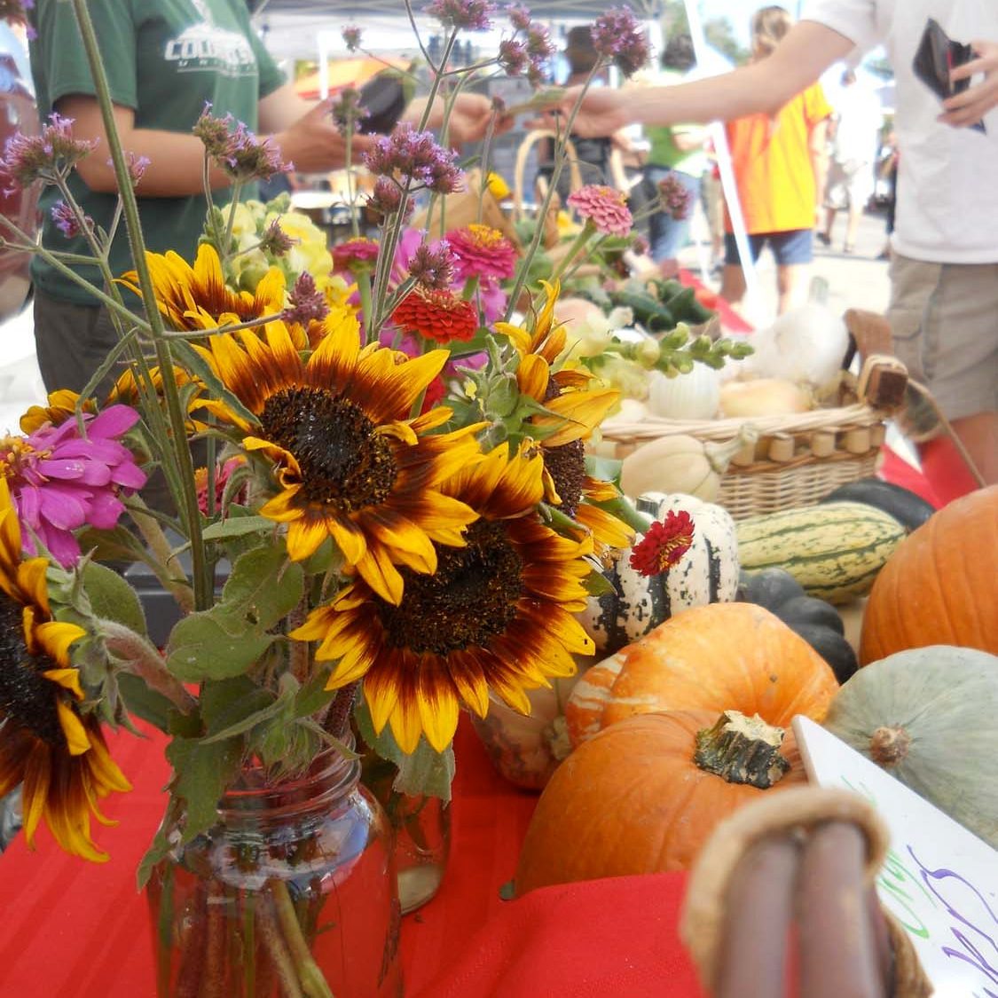 famers-market-louisvll