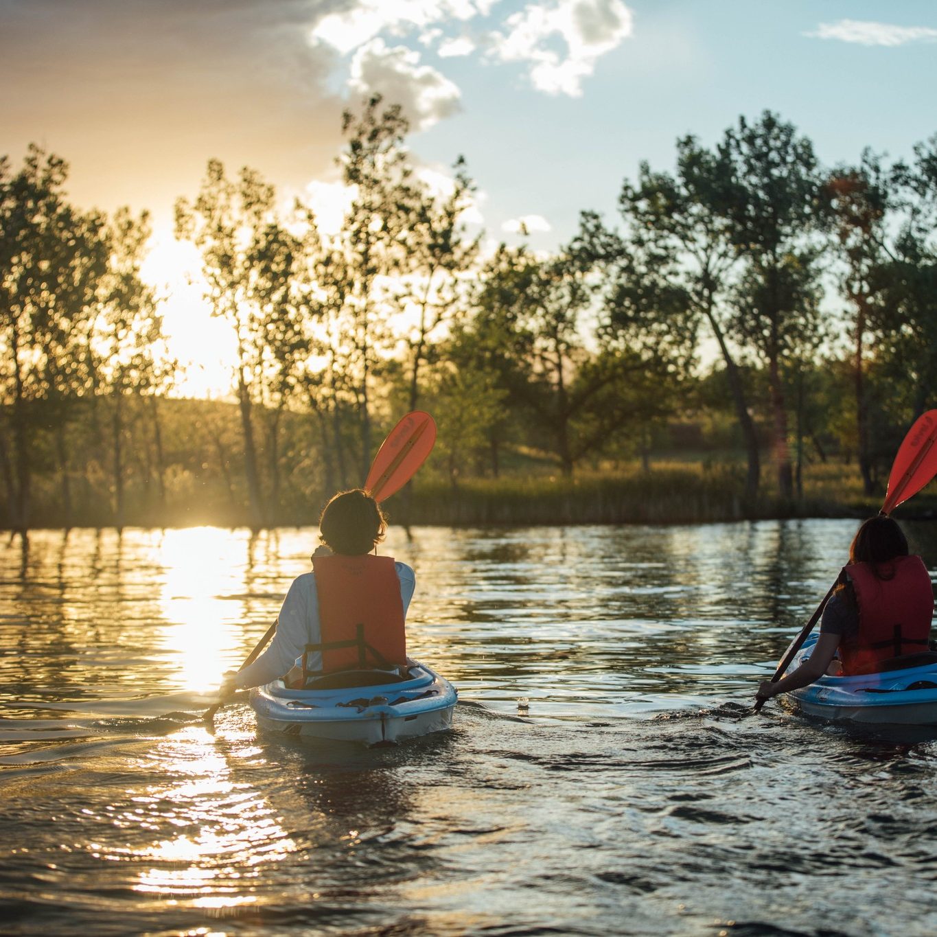 westminster-paddle-boarding